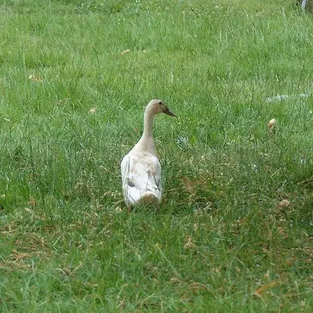 Studio Entre Mer Et Campagne