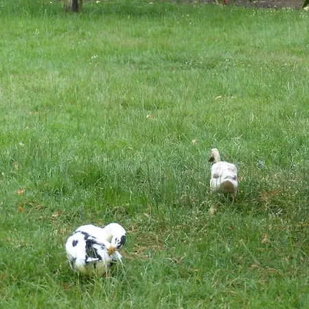 Studio Entre Mer Et Campagne * Villers-sur-Mer