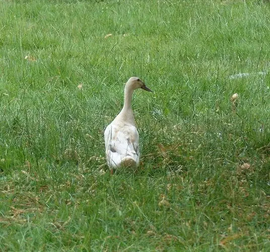 Studio Entre Mer Et Campagne