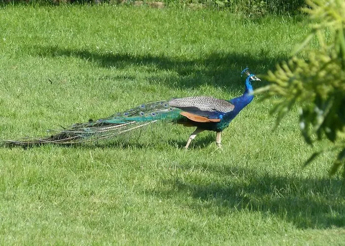 Studio Entre Mer Et Campagne Apartment Villers-sur-Mer