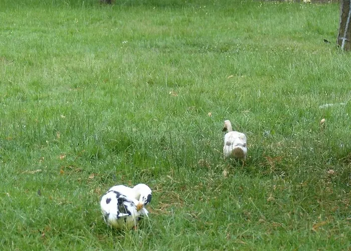 Studio Entre Mer Et Campagne * Villers-sur-Mer